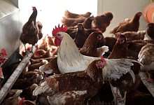 D&uuml;rfen erstmal nicht ins Freie - Bernhard Preuss