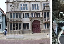 Breite Straße - Vasco Stemmer / Pixabay