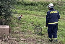 img_5974-1 - 1 - 1 - Feuerwehr Blomberg