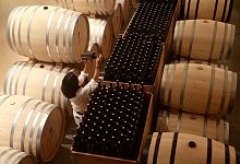 Europäische Weinproduktion - Clara Margais/dpa