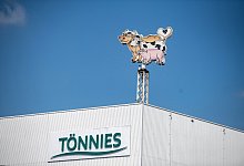 T&ouml;nnies - Guido Kirchner/dpa