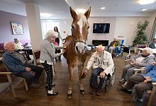 Mit dem Pferd ins Altenheim - Boris Roessler/dpa