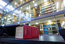 Berufungsverfahren zur Einstufung der AfD durch Verfassungsschutz - Guido Kirchner/dpa