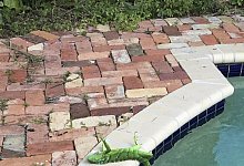 Echse am Swimming-Pool - Foto: Frank Cerabino/Palm Beach Post/AP/dpa