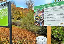 feuersalamander2 - Kurt Ehmke