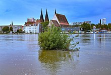 Hochwasser in Brandenburg - Patrick Pleul/dpa
