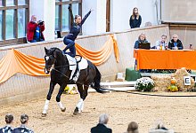 Voltigieren - Daniel Ellwanger, Vaulting World
