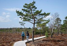 Schwarzes Moor in der Rh&ouml;n - Daniel Vogl/dpa