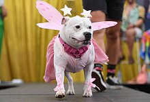 &laquo;Doggywood&raquo;-Parade&raquo; - Steven Saphore/AAP/dpa