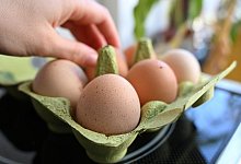 Eier-Konsum - Elisa Schu/dpa