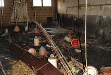 Schwarzer Teppich - FOTO: ANDREAS EICKHOFF