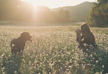 Frau fotografiert Hund in einem Feld - Skabarcat/Westend61/dpa-tmn