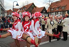 Rosenmontag - Cordula Gr&ouml;ne