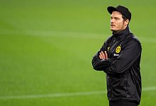 Edin Terzic - Foto: Marius Becker/dpa