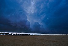 Klima-Bilanz - Patrick Pleul/dpa