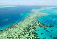 Great Barrier Reef in Australien - Uncredited/Kyodo News via AP/dpa