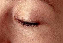 Tr&auml;ne - Foto: dpa