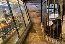 Pata Zoo in Bangkok - Carola Frentzen/dpa