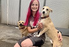 Tierheim Hunde aus Porta - 1 - Ivonne Michel