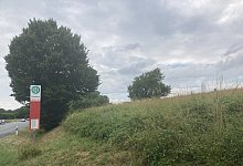 Freiflächenfotovoltaik - Cordula Gröne