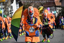 Elsass verbietet harten Alkohol bei Karnevalsumz&uuml;gen - Patrick Seeger/dpa