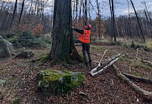 2024-11-opfersteine_-1 - 1 - Landesverband Lippe