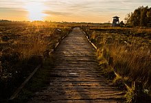 10-oktober-matthias-plohmann-hille-grosses-torfmoor - Matthias Plohmann