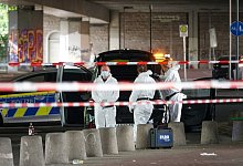 image-12 - Paul Brinkmann