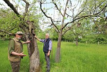 img_2331 - Jens Rademacher