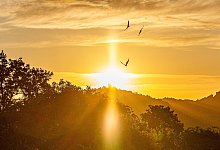 Sonnenaufgang über dem Siebengebirge 24.06.2025 - IMAGO/Bonn.digital