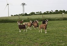 img_3685 - Annelie Reißner