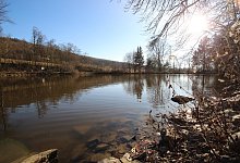 img_1779 - Jens Rademacher