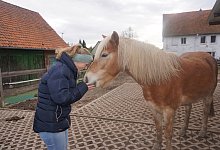 miw-pferdezeit-1 - Michaela Weiße