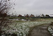 Pivitswiese - Lorraine Brinkmann