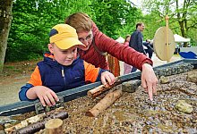 nic_5706a - Nicole Ellerbrake