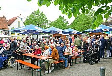 nic_5806a - Nicole Ellerbrake