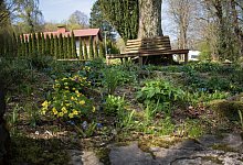 021-no-mow-may - Stadt Horn-Bad Meinberg