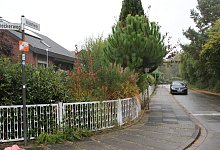 Altdorferstraße Waddenhausen - Lorraine Brinkmann