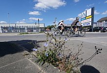 p1400647 - Archivfoto: Jost Wolf