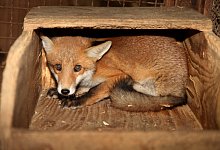 img_8968 - vera gerstendorf-welle