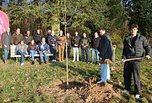 Pflanzaktion Stadtwald Lemgo - Nadine Uphoff