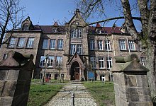 corona_ger - vera gerstendorf-welle,vera gerstendorf-welle