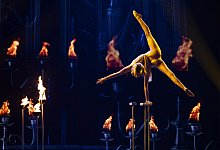 angelina-1 - Mirosław Sosnowski