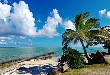 foto-1-claus-hinrich-gra - Claus Hinrich Graß