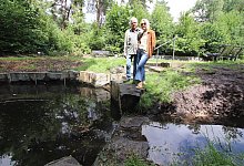 img_1421 - Sigurd Gringel