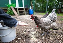 Hermann-Lietz Schule - picture alliance/dpa