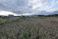 p1310388 - Archivfoto: Jost Wolf