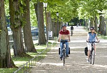 allee_rad_quer - Stadt Detmold