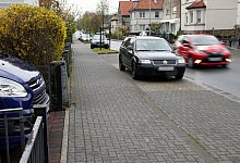 img_8832 - Archivfoto: Bernhard Preuß