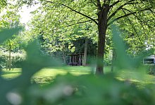 Gorki-Park - Janet König